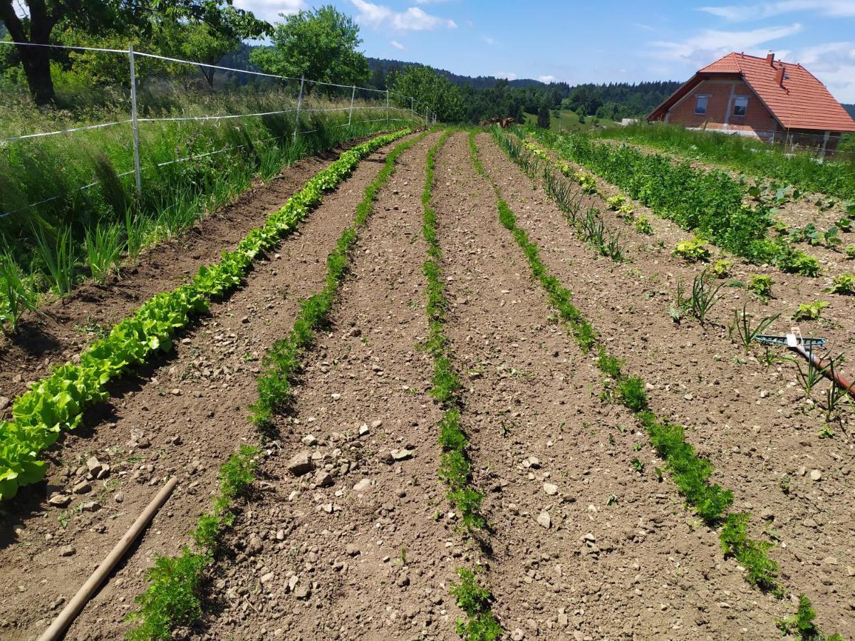 Tourist Farm Strle With Great Local Food Cerknica