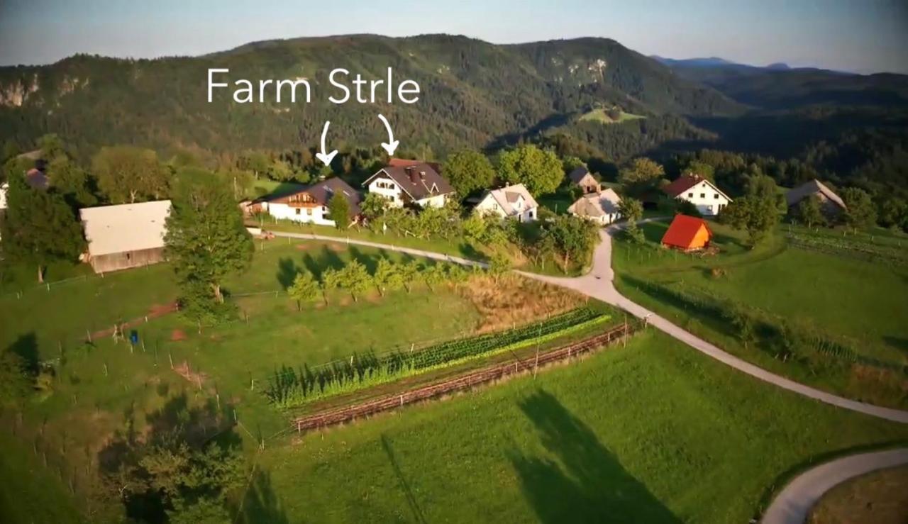 Tourist Farm Strle Bauernhof