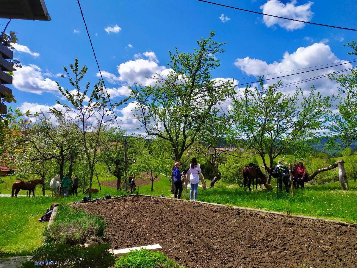 Bauernhof Tourist Farm Strle Cerknica