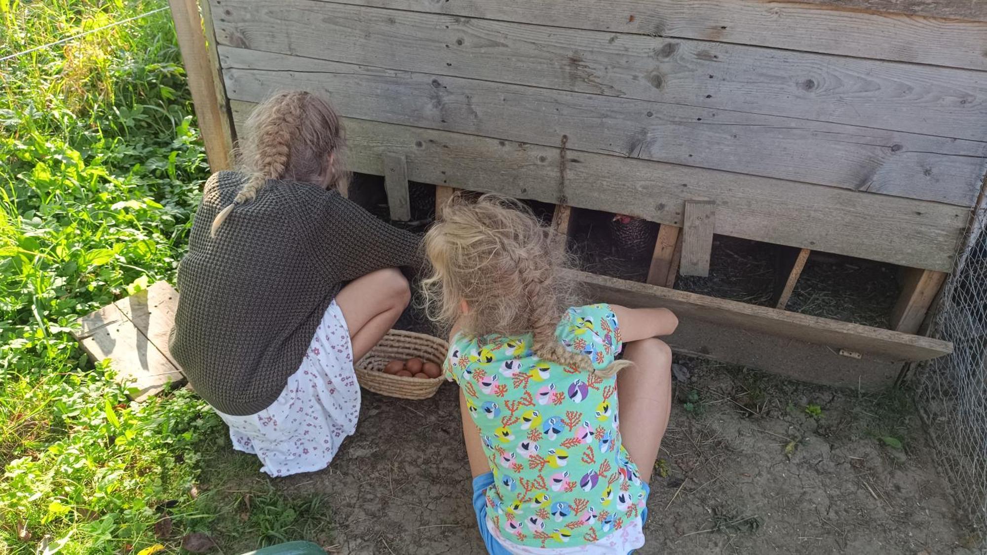 Tourist Farm Strle Bauernhof