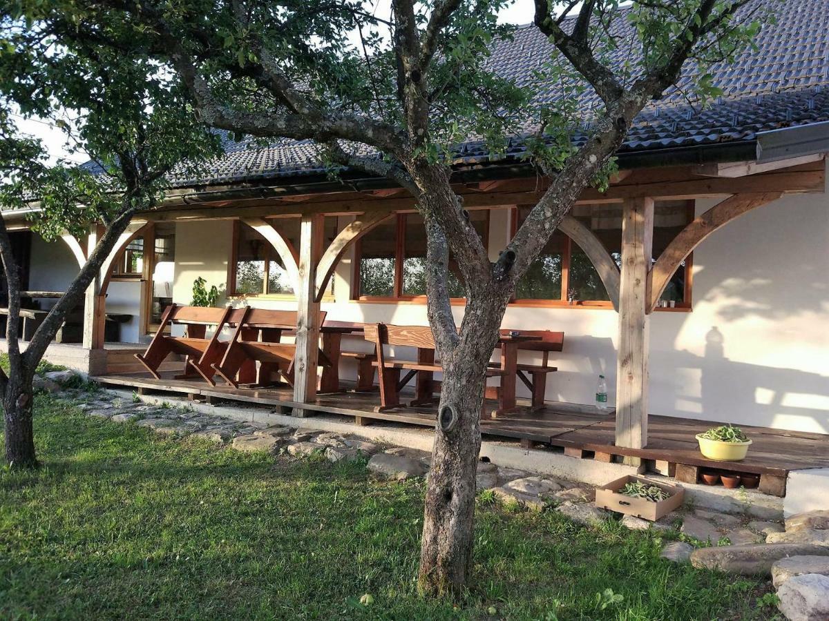 Tourist Farm Strle Bauernhof *