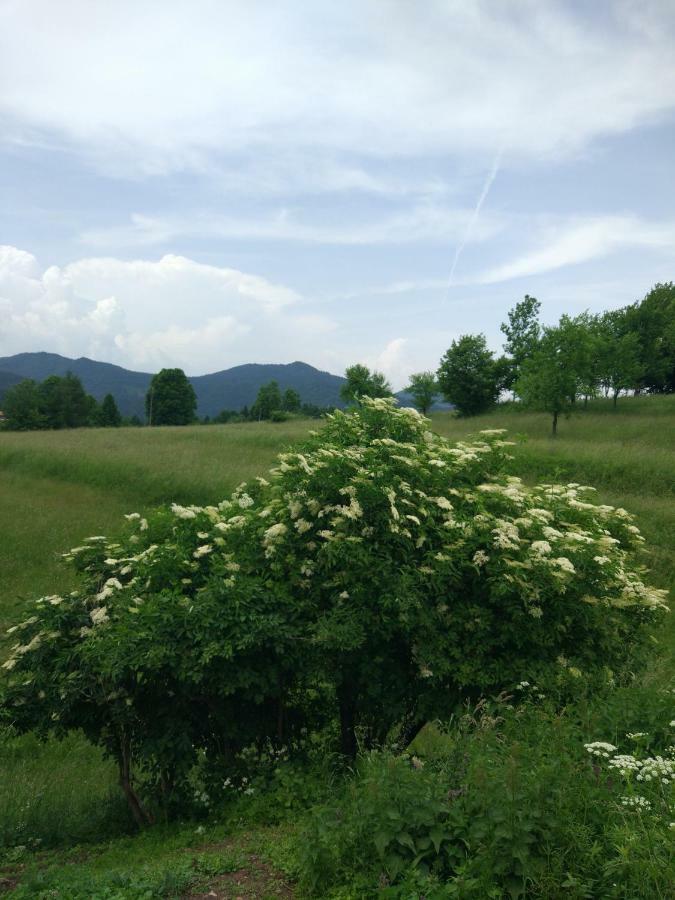 Tourist Farm Strle Bauernhof Cerknica