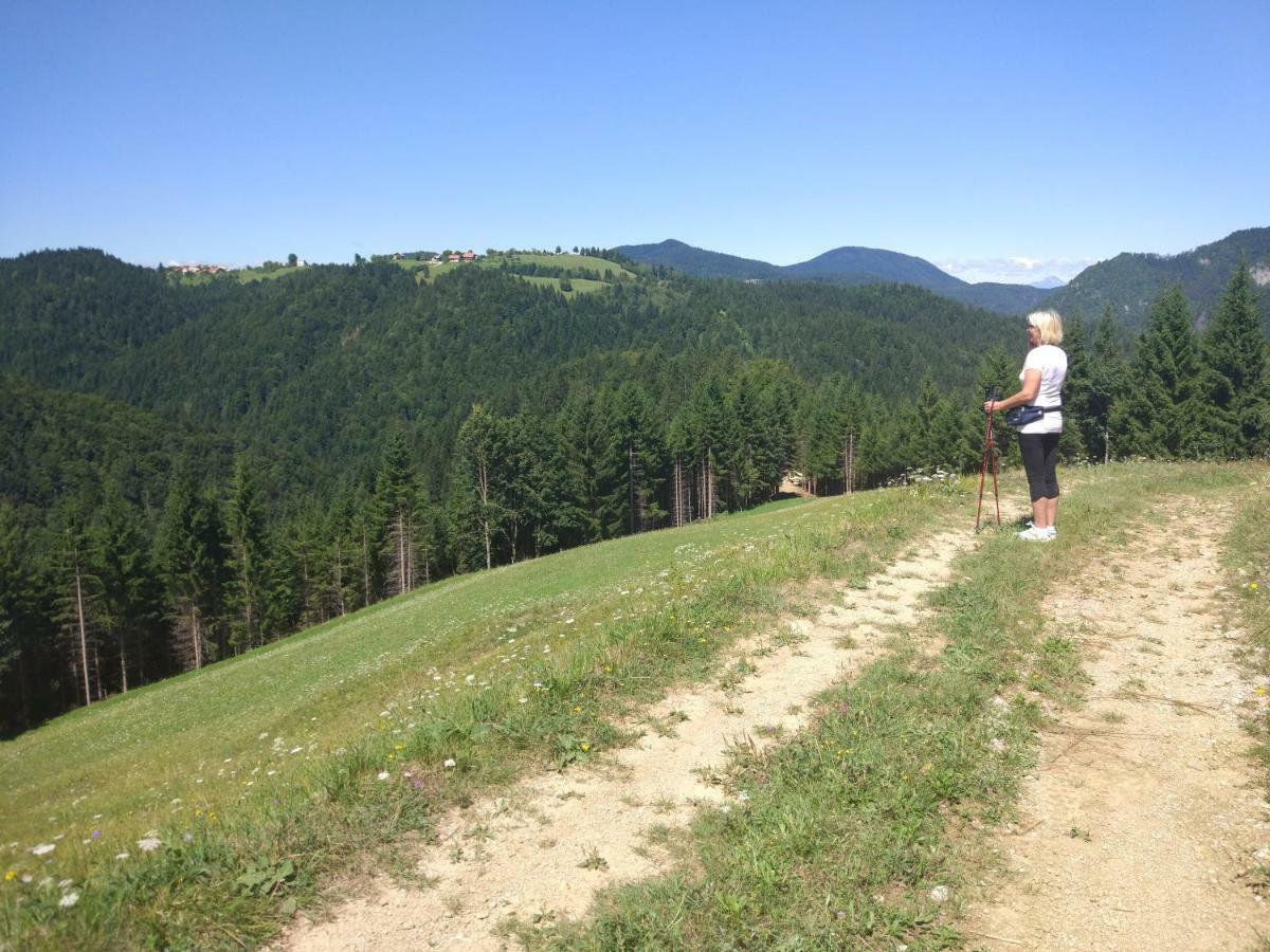 Bauernhof Tourist Farm Strle Cerknica