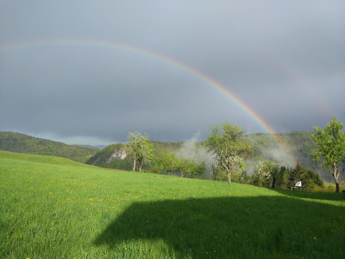 Bauernhof Tourist Farm Strle Cerknica