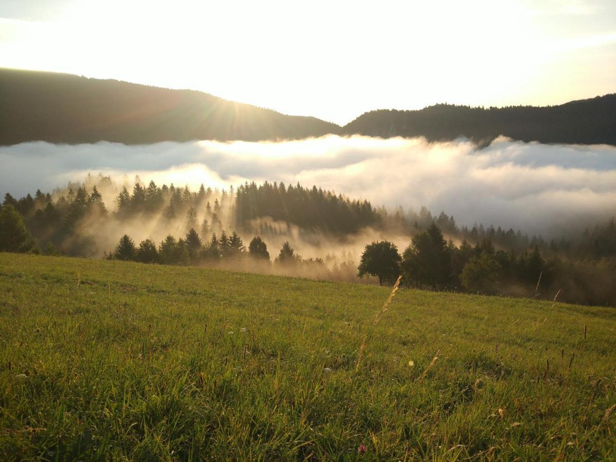 Tourist Farm Strle * Cerknica